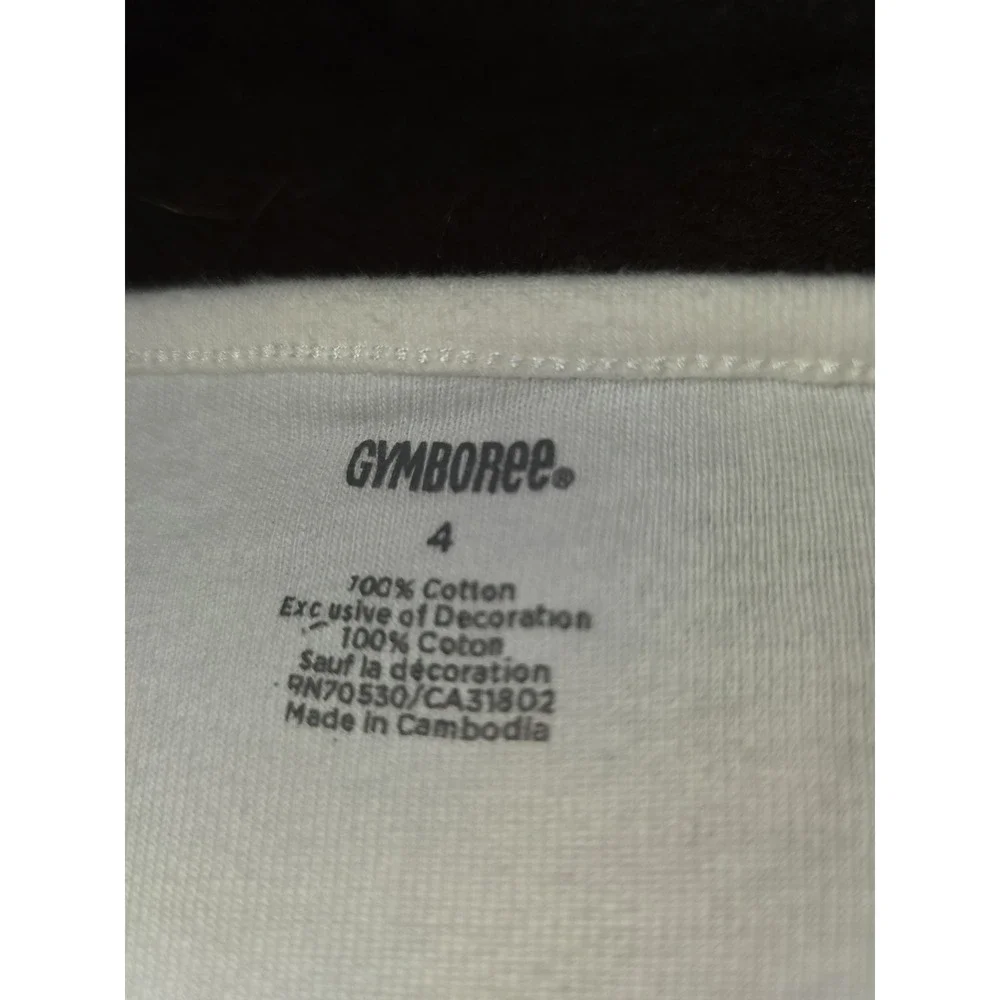 Gymboree butterfly girl top leggings skort lot outfit size 4